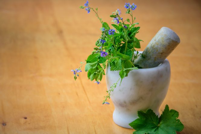 6 Smokable Herbs That Aren't Cannabis – Nordic Oil – US