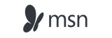 msn logo