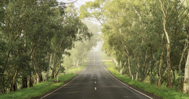 Road in the Adelaide Hills, South Australia