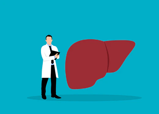 a doctor and a human liver
